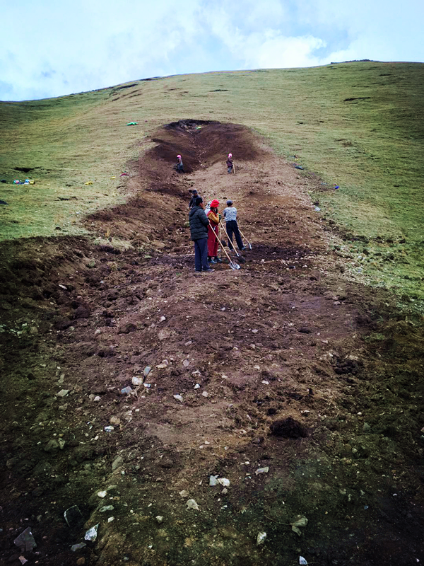 興海銅鑫綠色礦山植被恢復工作穩步推進